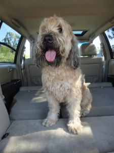 "San Francisco, please"