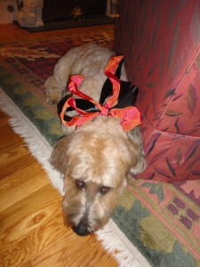 Hope your Valentines Day was a good one!