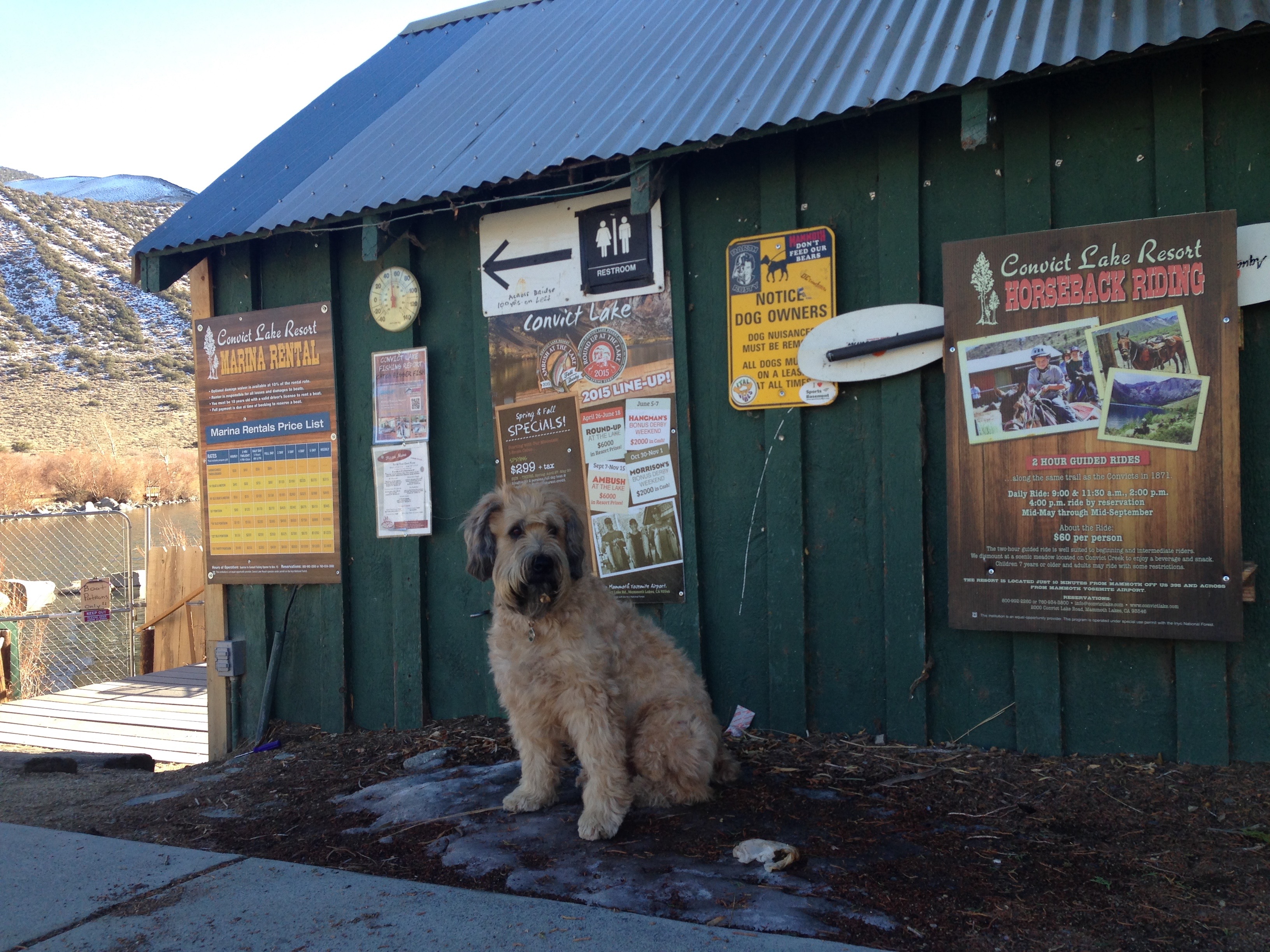 Last Thanksgiving we stopped to stretch at Convict Lake.