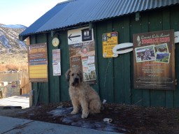 Last Thanksgiving we stopped to stretch at Convict Lake.