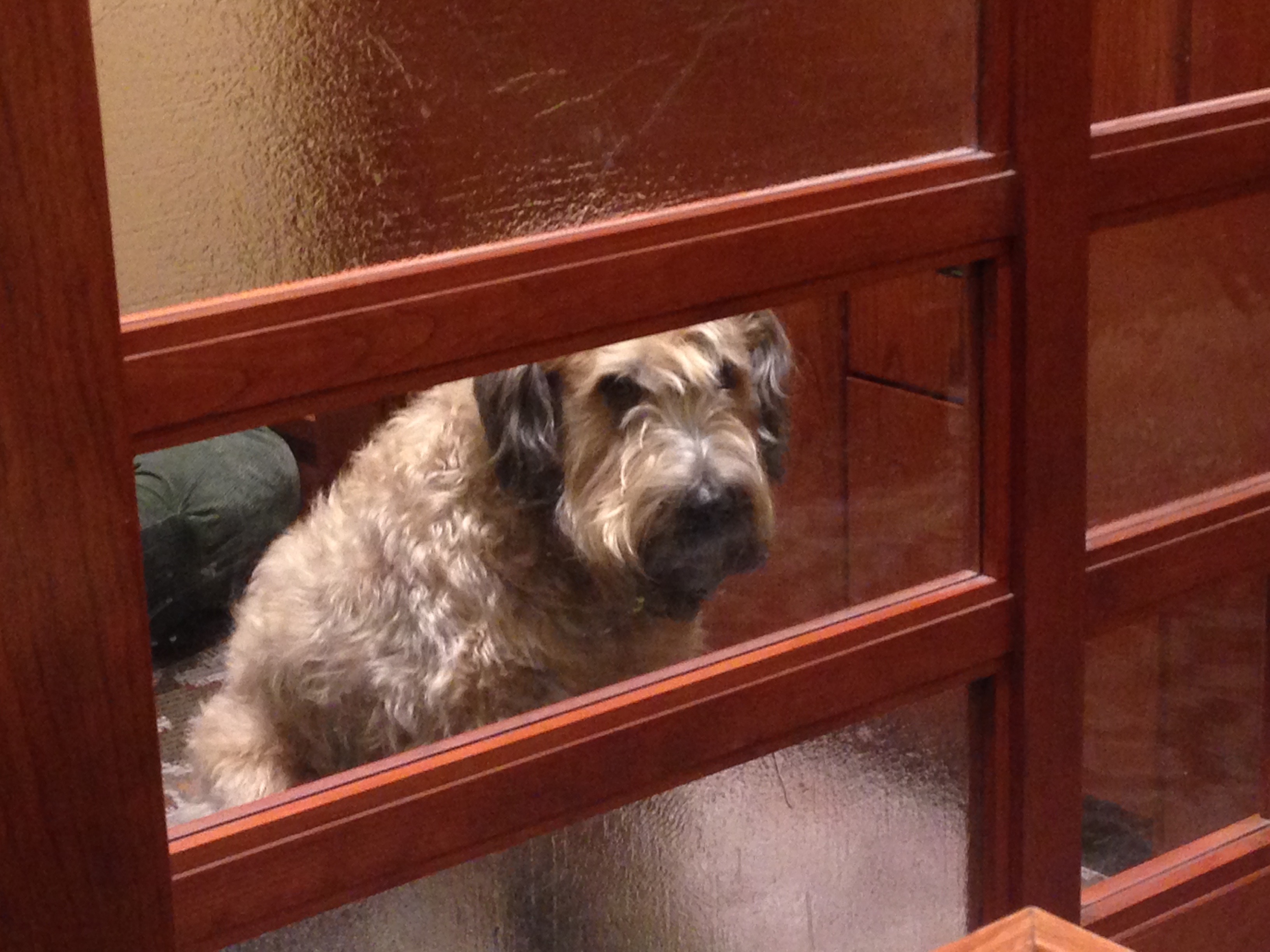 At Riverplace Hotel in Portland on trip home after Thanksgiving